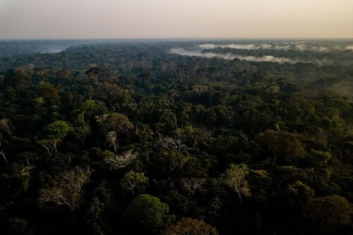 By Tambopata Research Center for Rainforest Expeditions tambopata